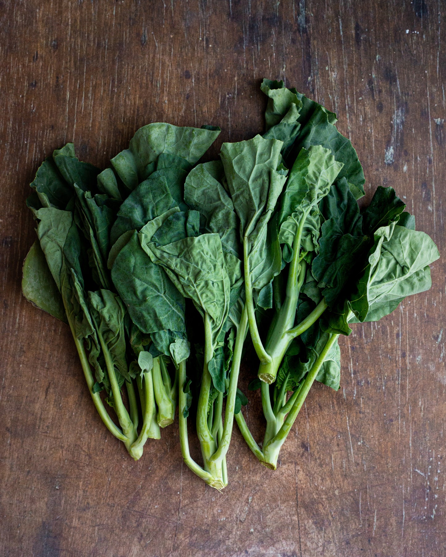 Kale, Kai lan / Chinese Broccoli