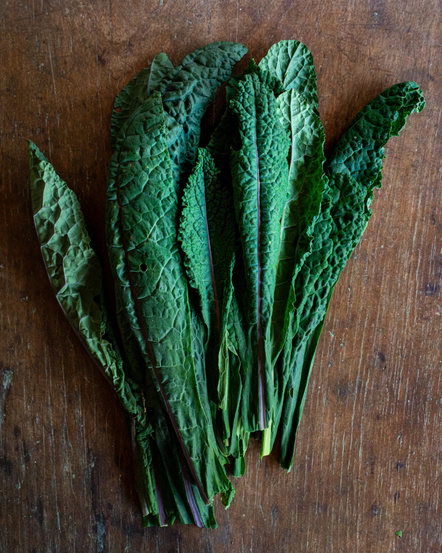 Kale, Toscano