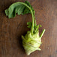 Kohlrabi, Green / Purple