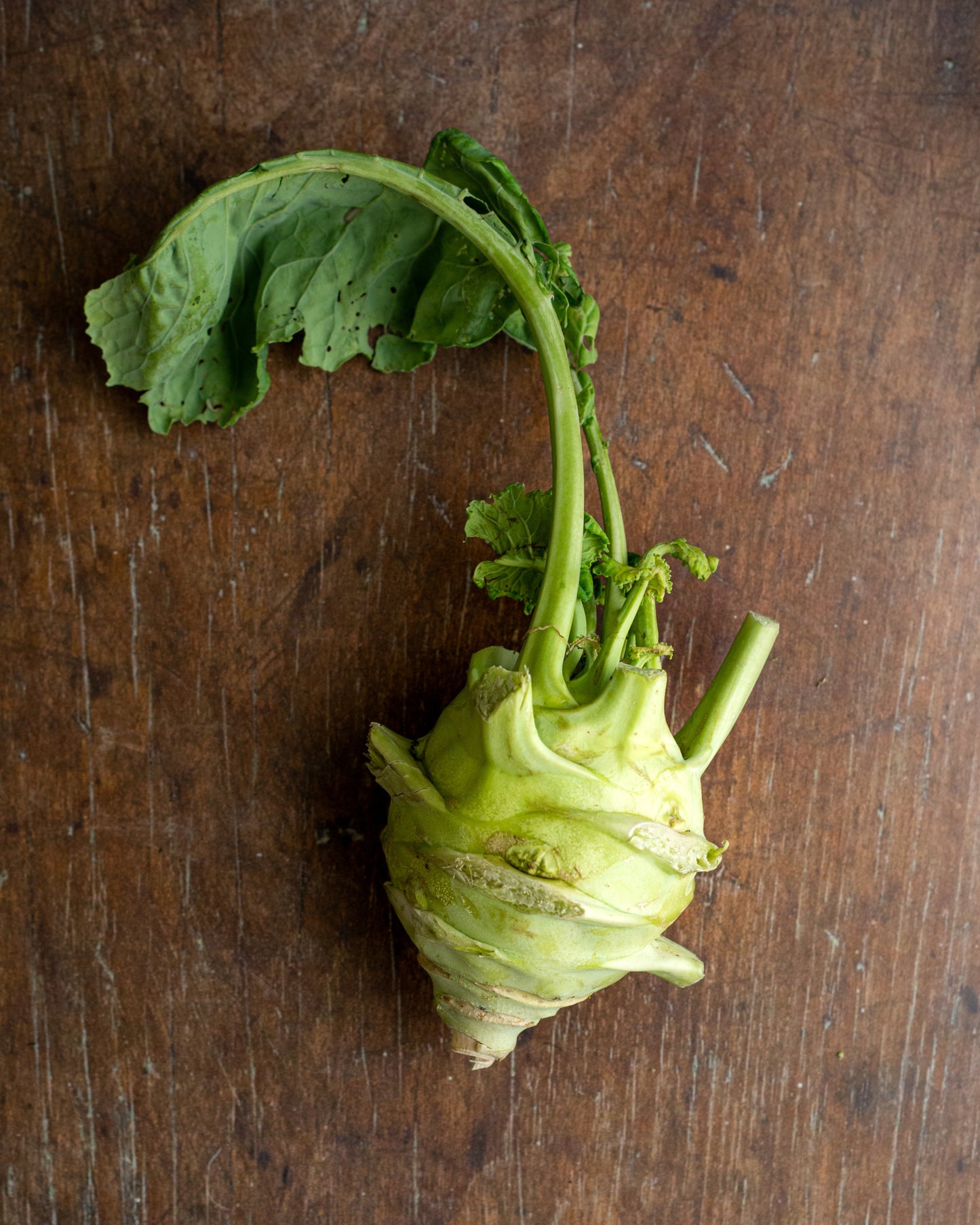 Kohlrabi, Green / Purple