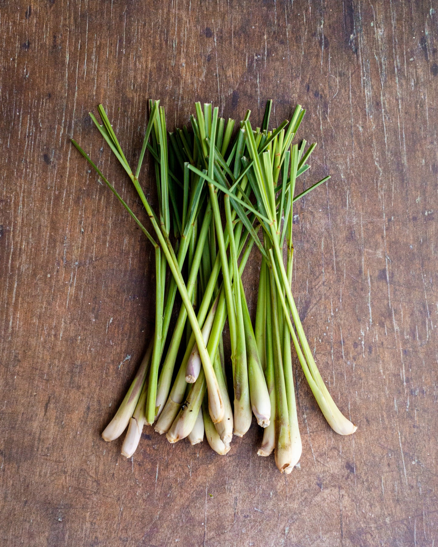 Lemongrass