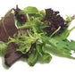 Salad, Mix