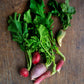 Radish, Seasonal Mix