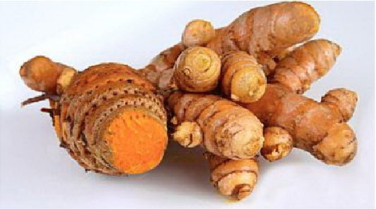 Temulawak, Javanese Turmeric