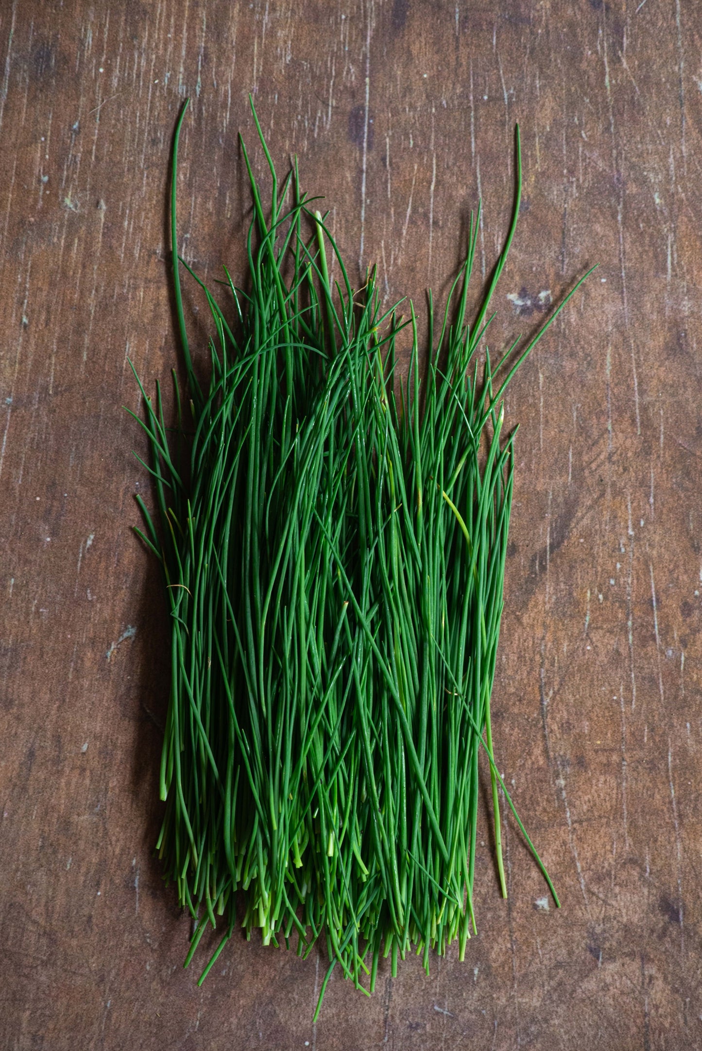Chives, Onion