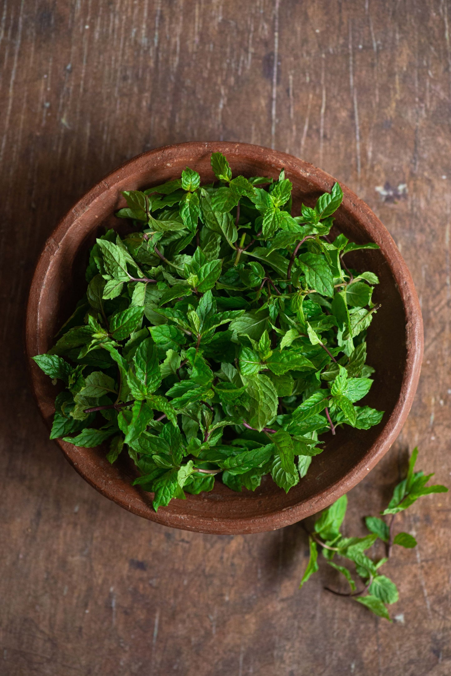 Mint, Peppermint