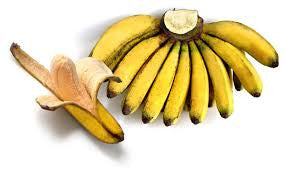 Plantain, Latundan Banana 'Pisang Raja' - 1 Fan