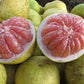 Pomelo