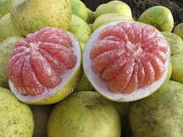 Pomelo