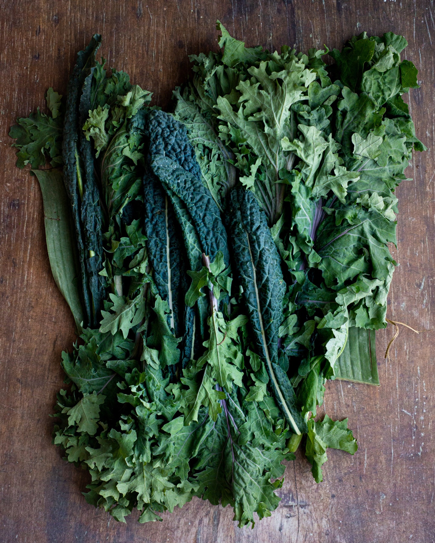 Kale, Powerbunch