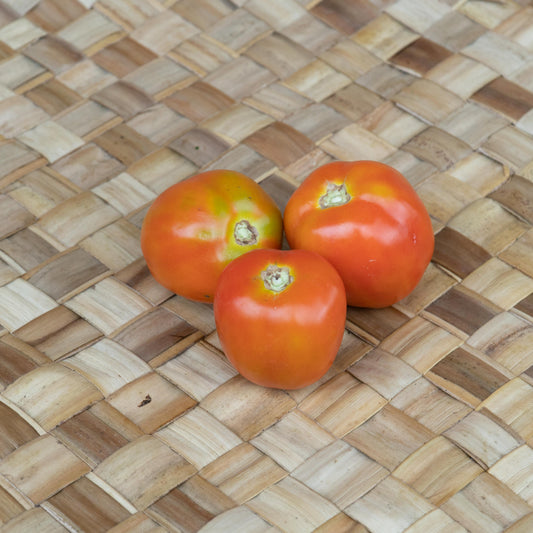 Tomato