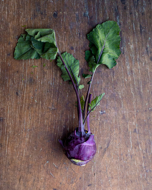 Kohlrabi, Green / Purple