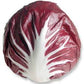 Lettuce, Radicchio