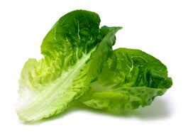 Lettuce, Romaine Baby