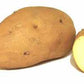 Sweet Potato, Orange