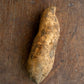 Sweet Potato, Orange
