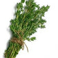 Thyme - Summer