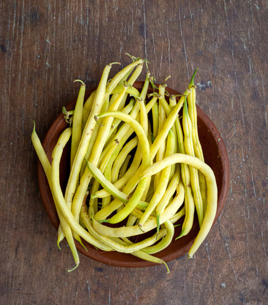 Green Bean, Dwarf French Yellow